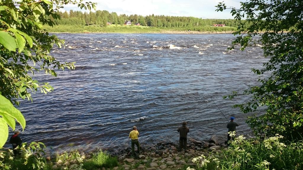 Nivagarden Villa Korpikylä Dış mekan fotoğraf