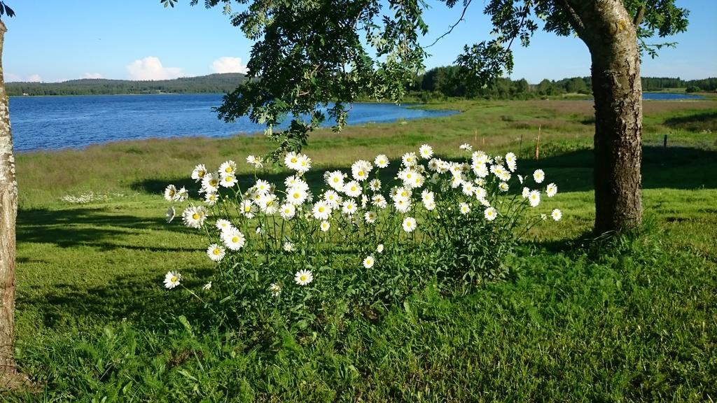 Nivagarden Villa Korpikylä Dış mekan fotoğraf