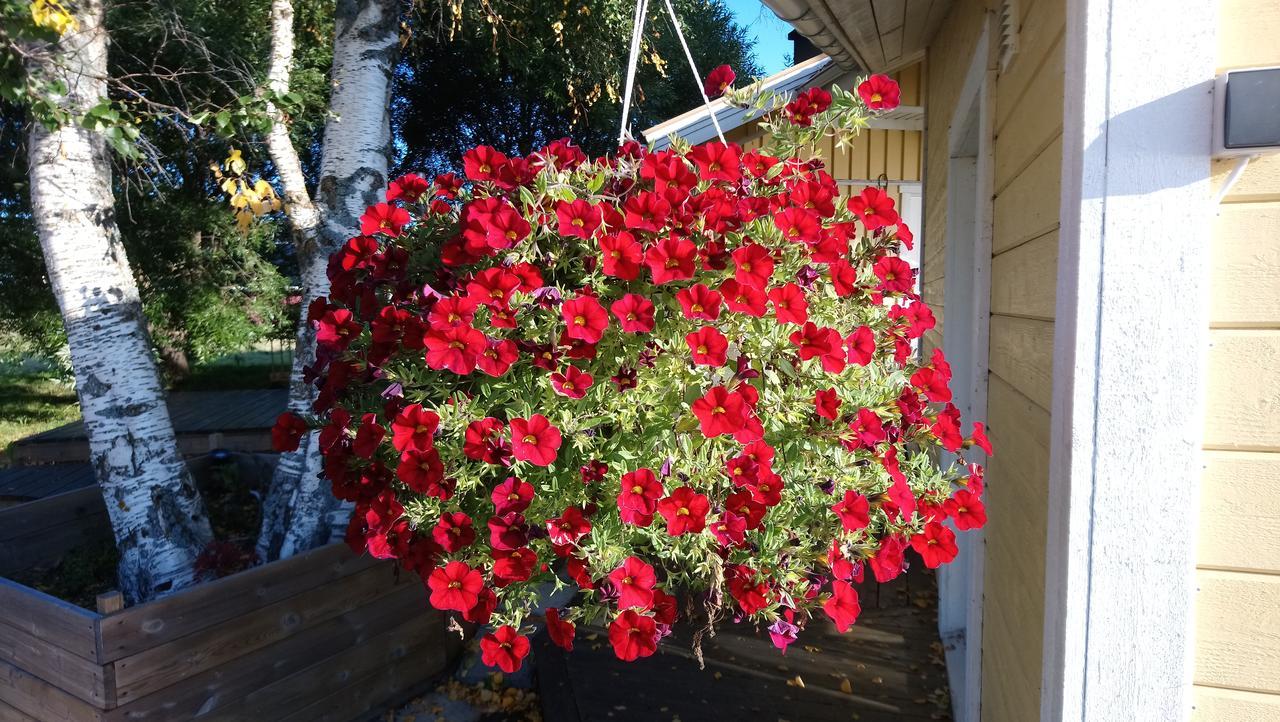 Nivagarden Villa Korpikylä Dış mekan fotoğraf