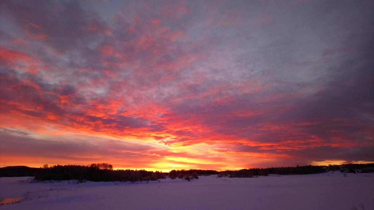 Nivagarden Villa Korpikylä Dış mekan fotoğraf